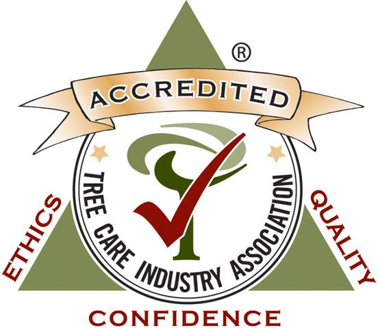 A tree care industry association seal with the words accredited, ethics, quality and confidence.