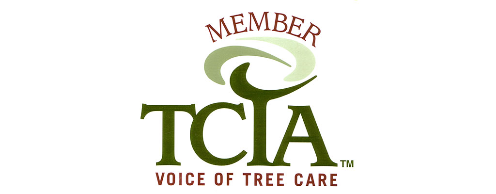 A member of the voice of tree care