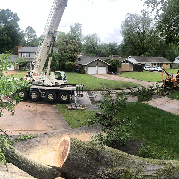 A crane is lifting up a tree that fell on it.